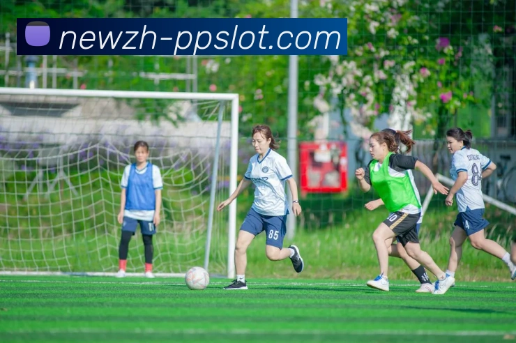 奥林匹斯之门1000官网平台生态图